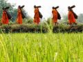 วันเข้าพรรษา ประวัติ และความเป็นมา..